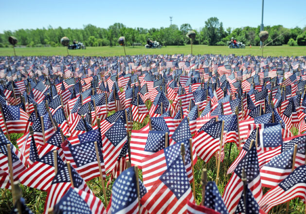 65,000 Flags On Display