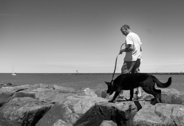 A man walks his dog along the jetty Saturday July 2, 2016 at Higbee Beach in Cape May, New Jersey. Photo by William Thomas Cain/Cain Images