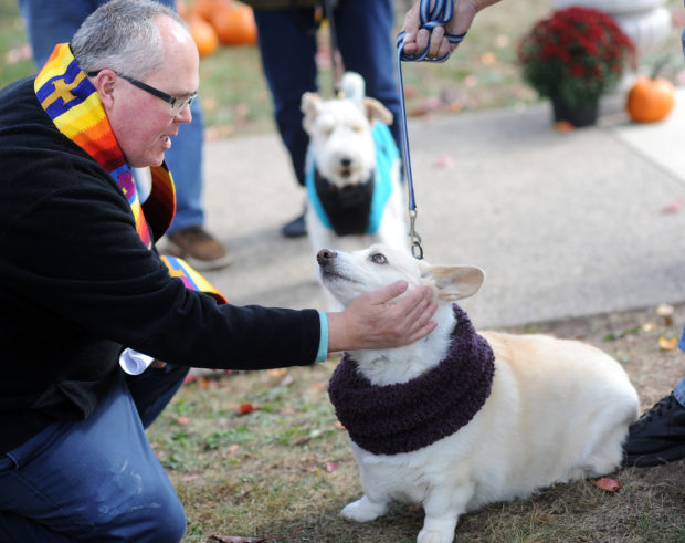 Rev. Jeffrey A. Wargo (left) blesses a dog named Vixen during a blessing of pets ceremony Sunday, October 23, 2016 at St. Stephen's United Church of Christ in Perkasie, Pennsylvania. (Photo by William Thomas Cain)